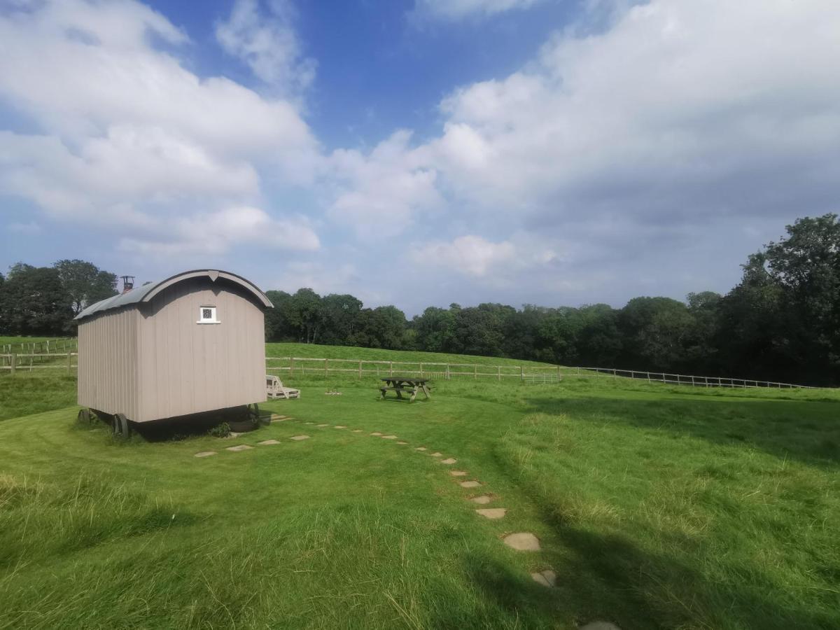 Molly Dishwasher Shepherds Hut Frant المظهر الخارجي الصورة